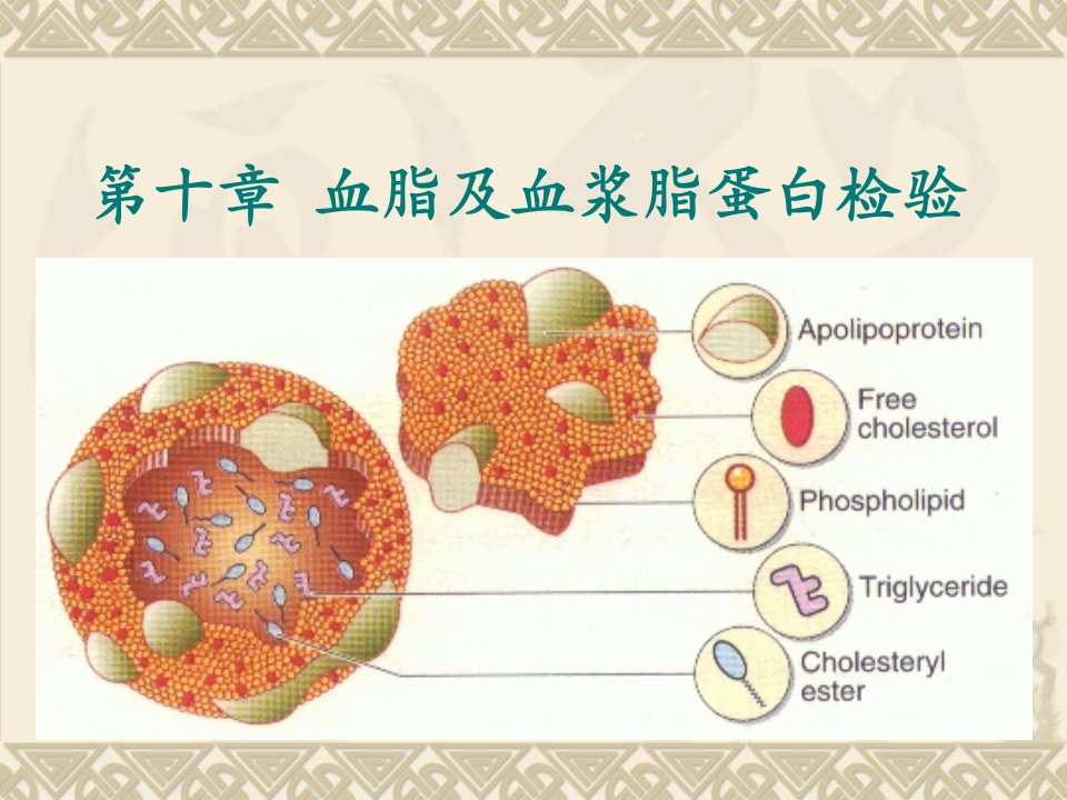 生物化学与检验10