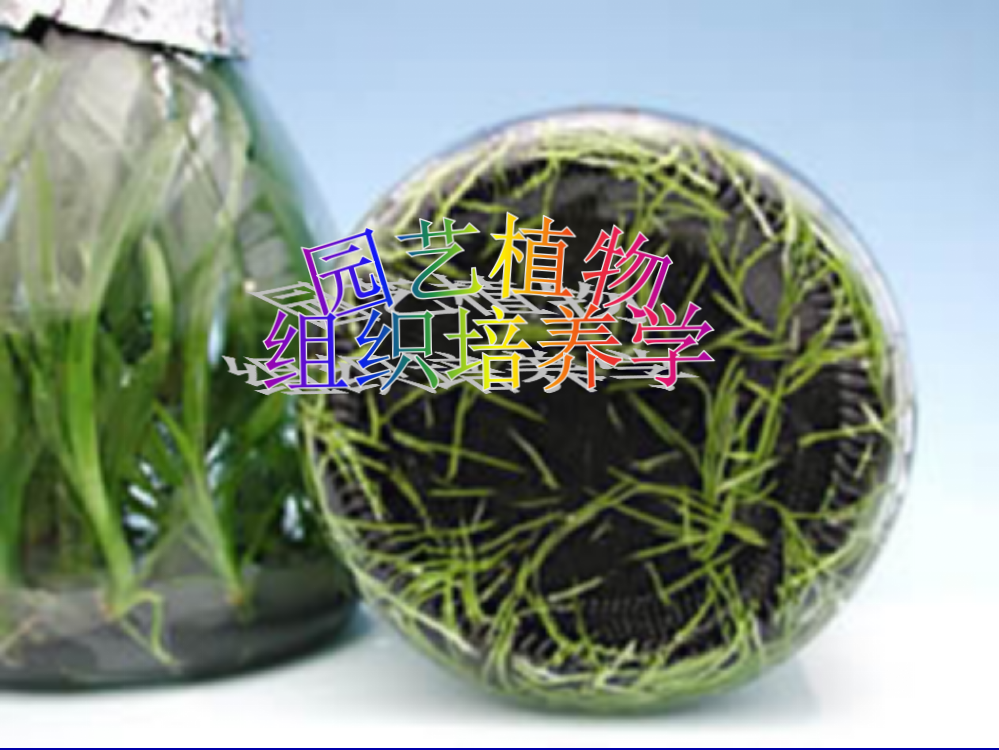 园艺植物组织培养ppt课件