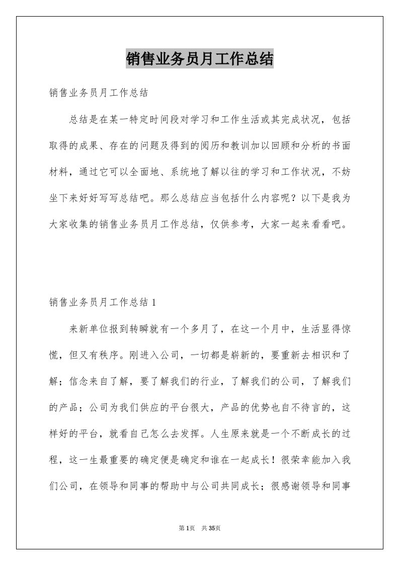 销售业务员月工作总结例文6