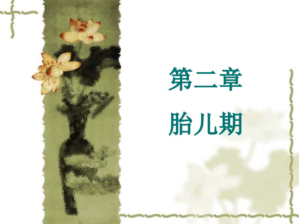 《人体发育学》第二章胎儿期(胎儿期的发育规律)