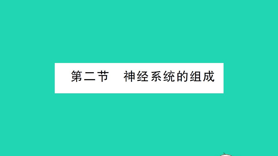 七年级生物下册第四单元生物圈中的人第六章人体生命活动的调节第二节神经系统的组成作业课件新版新人教版