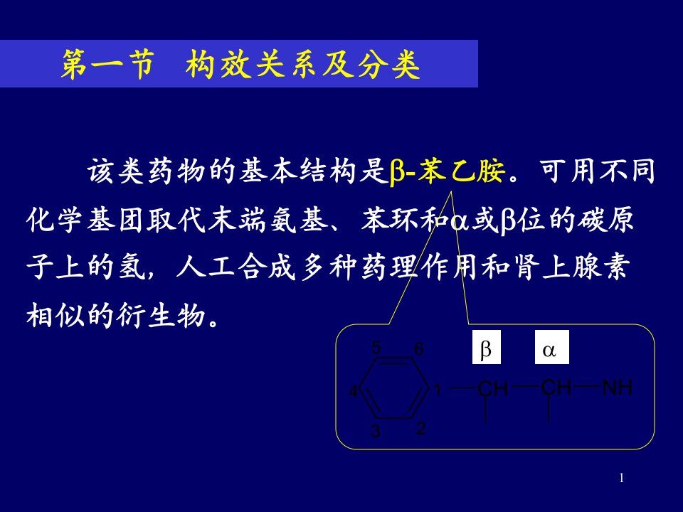 传出神经肾上腺素受体药