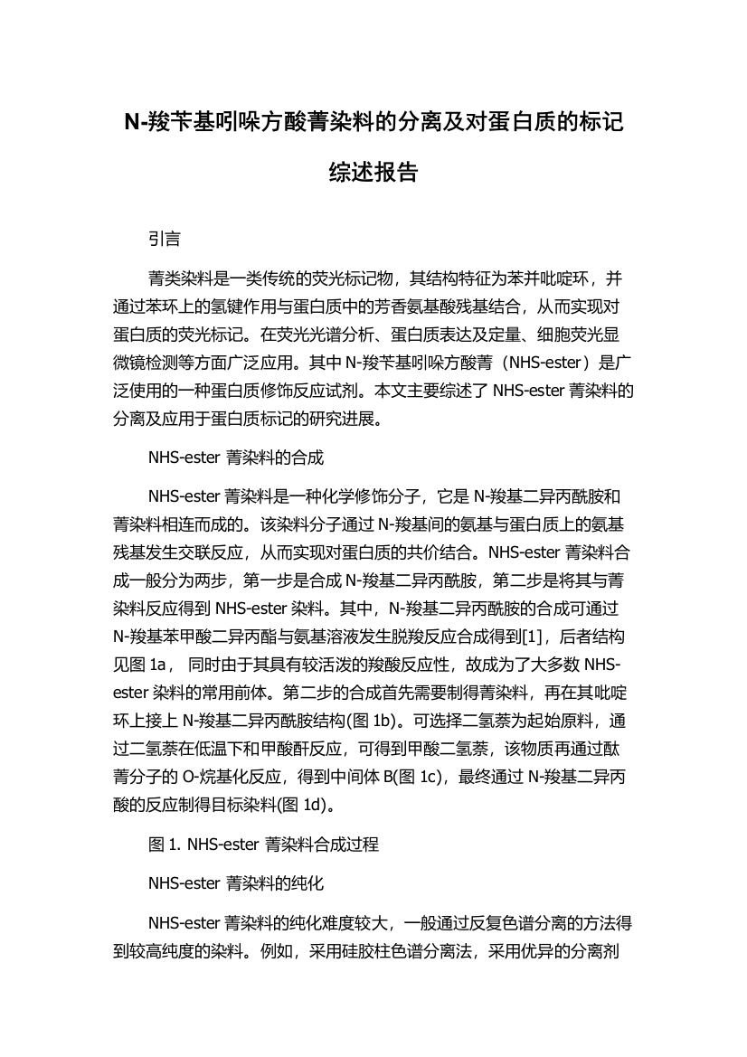 N-羧苄基吲哚方酸菁染料的分离及对蛋白质的标记综述报告