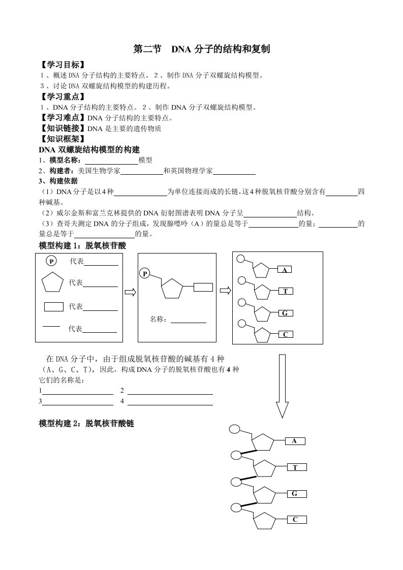 DNA分子结构导学案