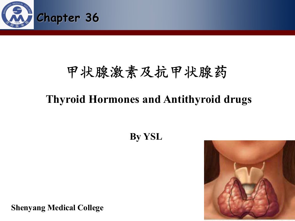 医学ppt甲状腺激素及抗甲状腺药