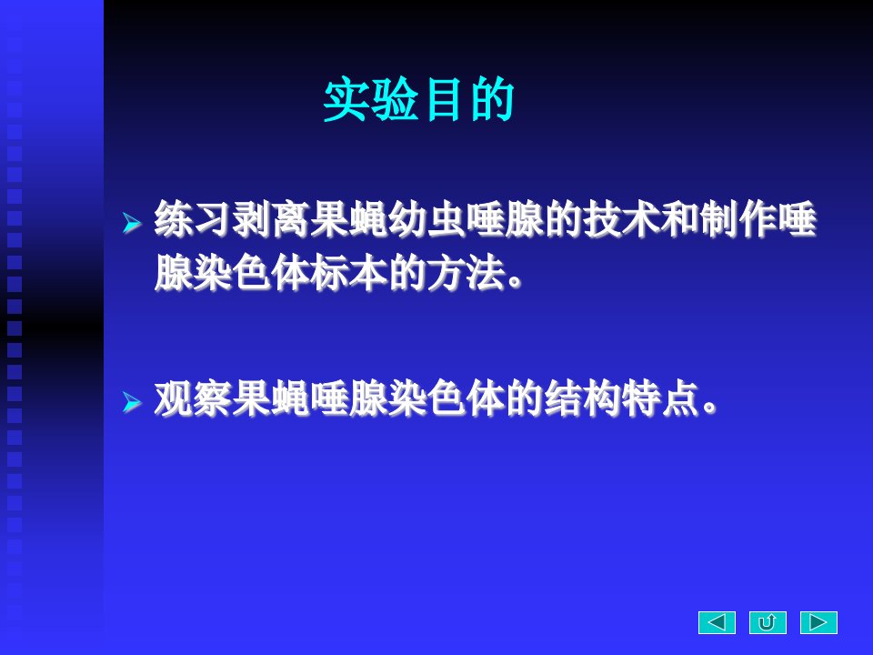 实验四果蝇唾腺染色体的观察