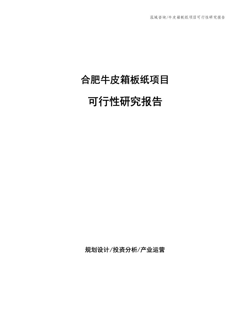 合肥牛皮箱板纸项目可行性研究报告（参考模板）