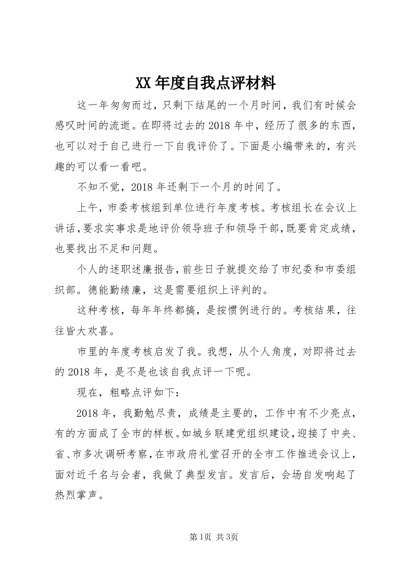 XX年度自我点评材料