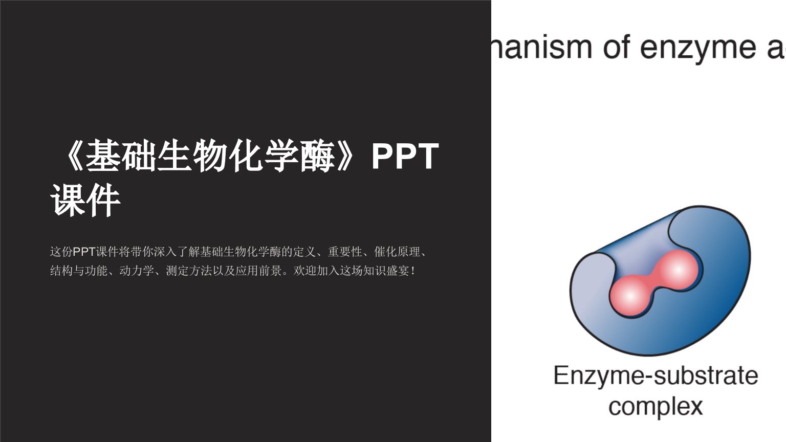 《基础生物化学酶》课件