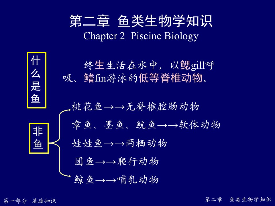 2鱼类基础知识