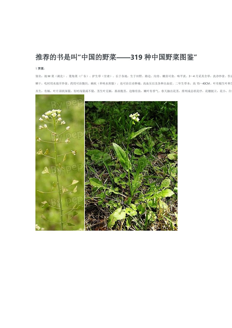 中国常见可食野生植物图谱