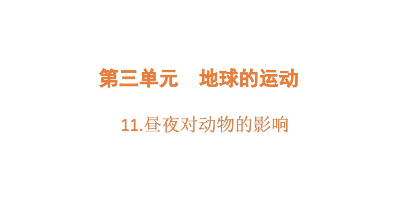 2021-2022学年苏教版五年级下学期科学11昼夜对动物的影响课件