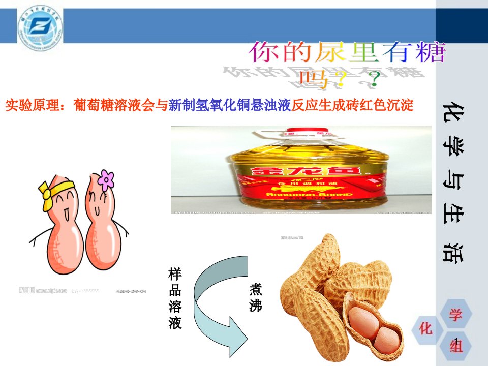 校本化学与生活四油课件