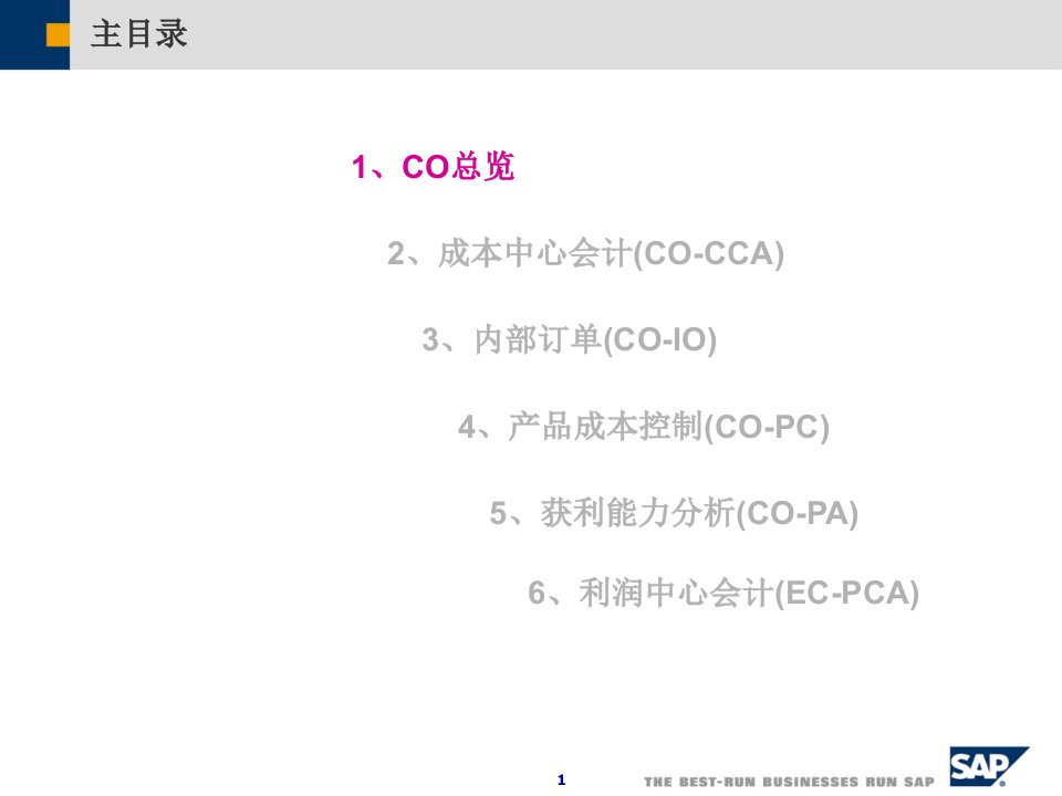 SAPCO详解教育课件