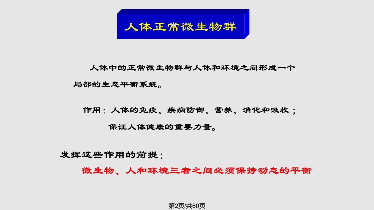 微生物与健康人体微生物及合理用药