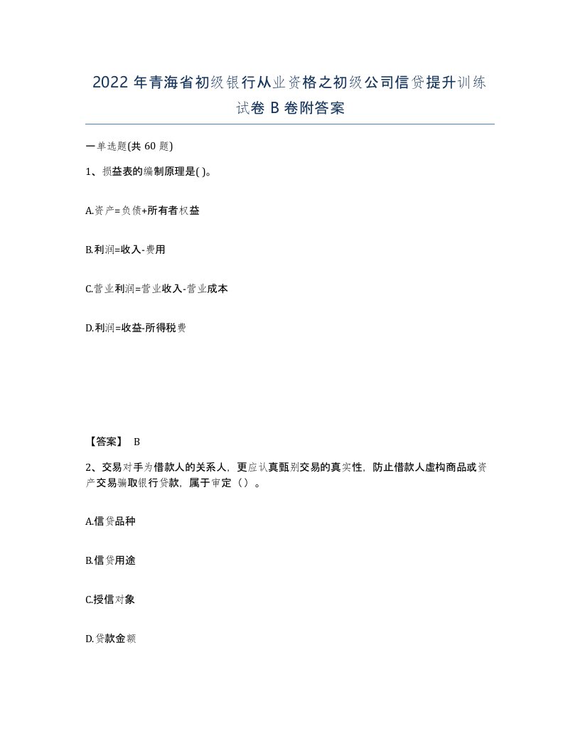 2022年青海省初级银行从业资格之初级公司信贷提升训练试卷B卷附答案