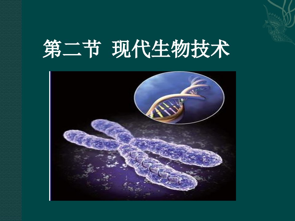 现代生物技术