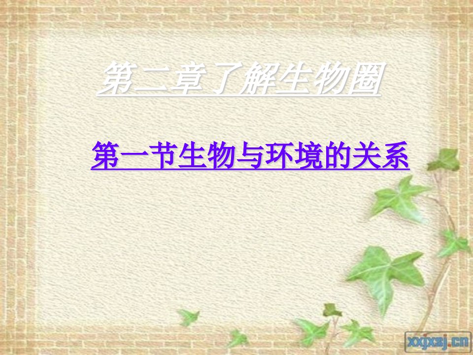 鼠妇的形态特点和生活习性