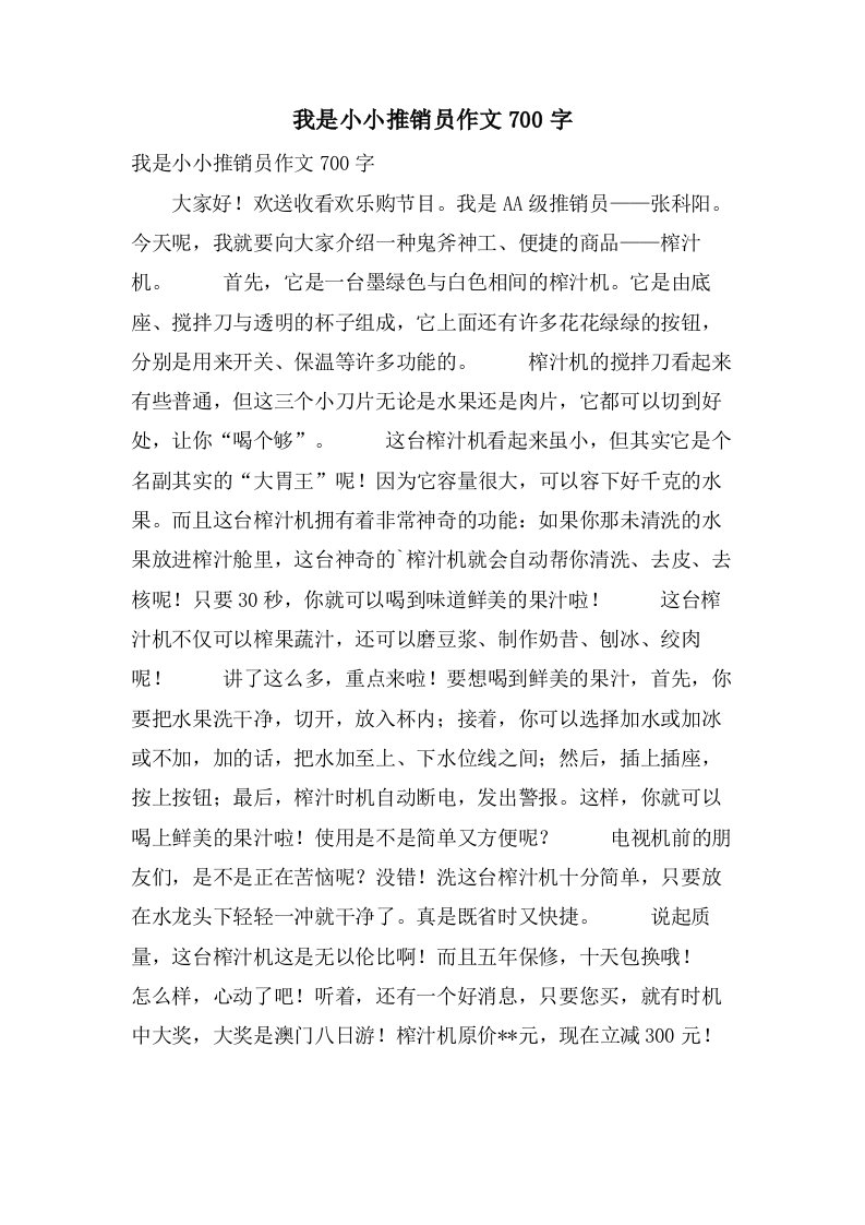 我是小小推销员作文700字