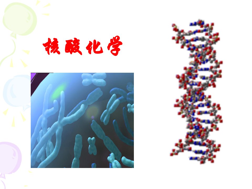 核酸化学