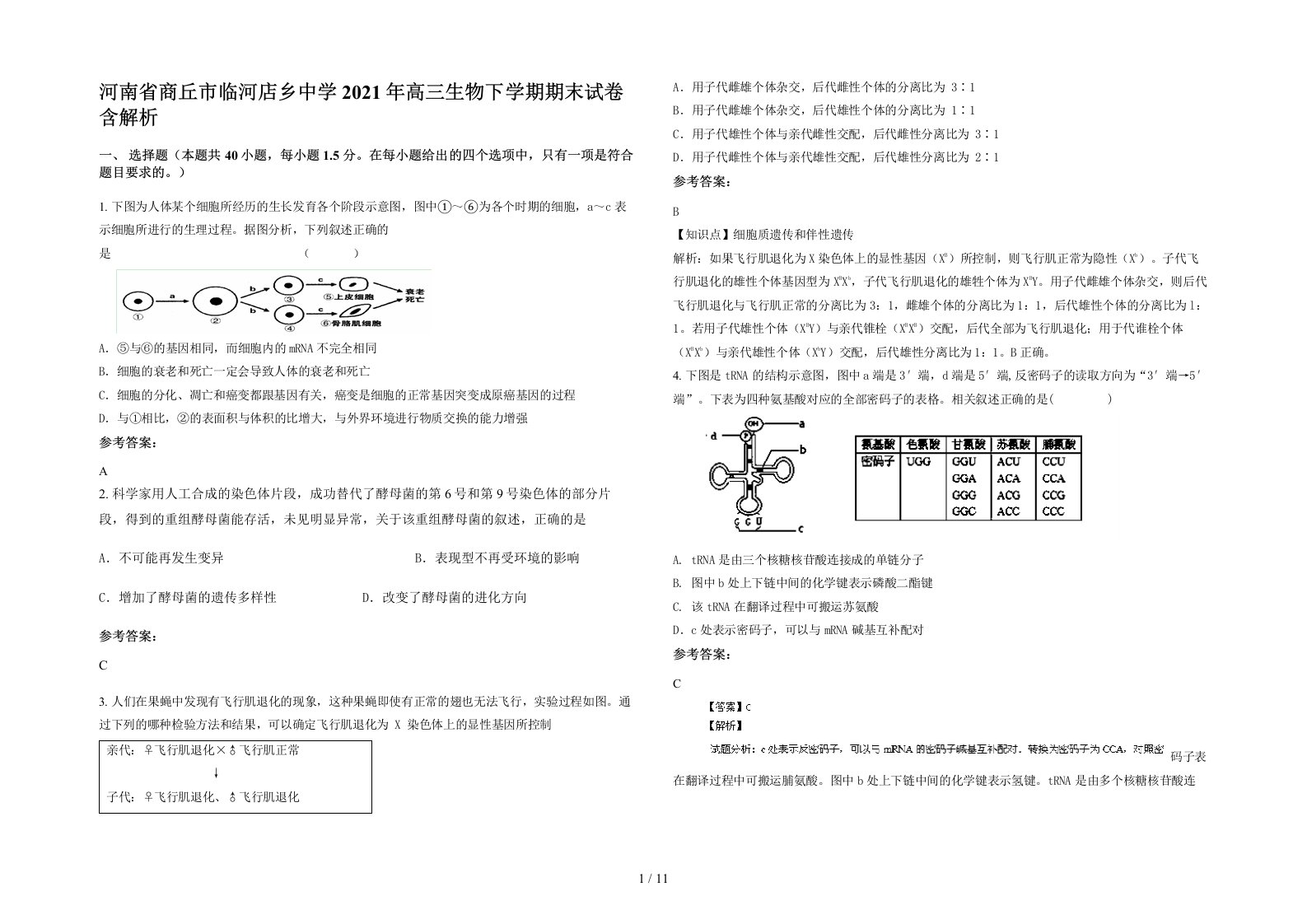 河南省商丘市临河店乡中学2021年高三生物下学期期末试卷含解析