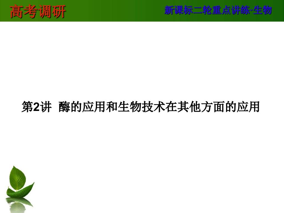 酶的应用和生物技术在其他方面的应用