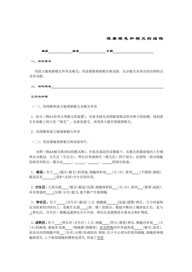 观察根毛和根尖的结构实验报告单