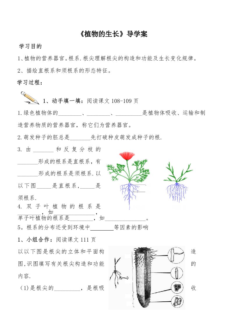 《植物的生长》导学案