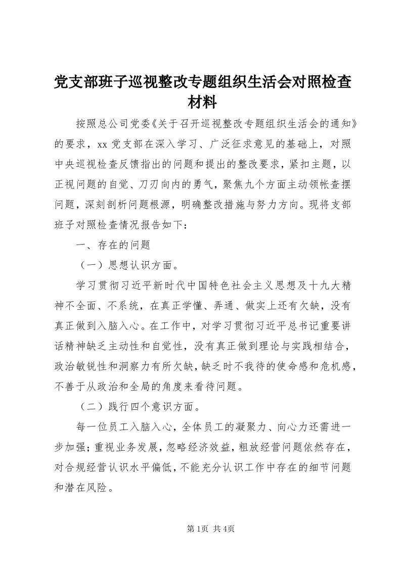 党支部班子巡视整改专题组织生活会对照检查材料