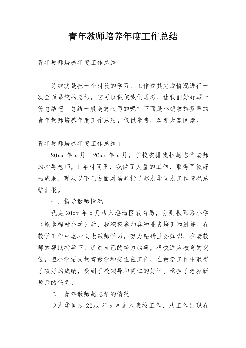 青年教师培养年度工作总结