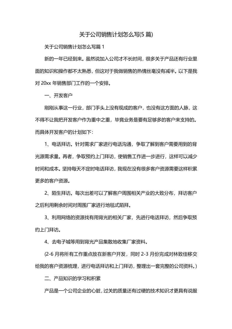 关于公司销售计划怎么写5篇