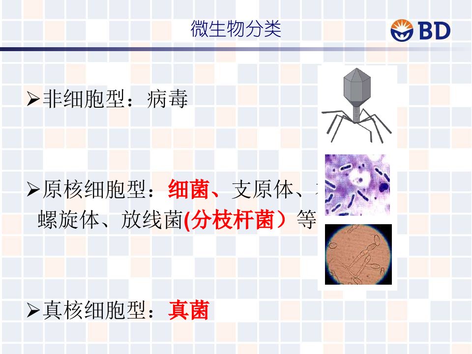 BD生物产品介绍医学课件