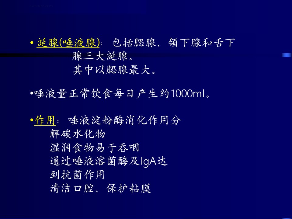 涎腺疾病超声诊断ppt课件