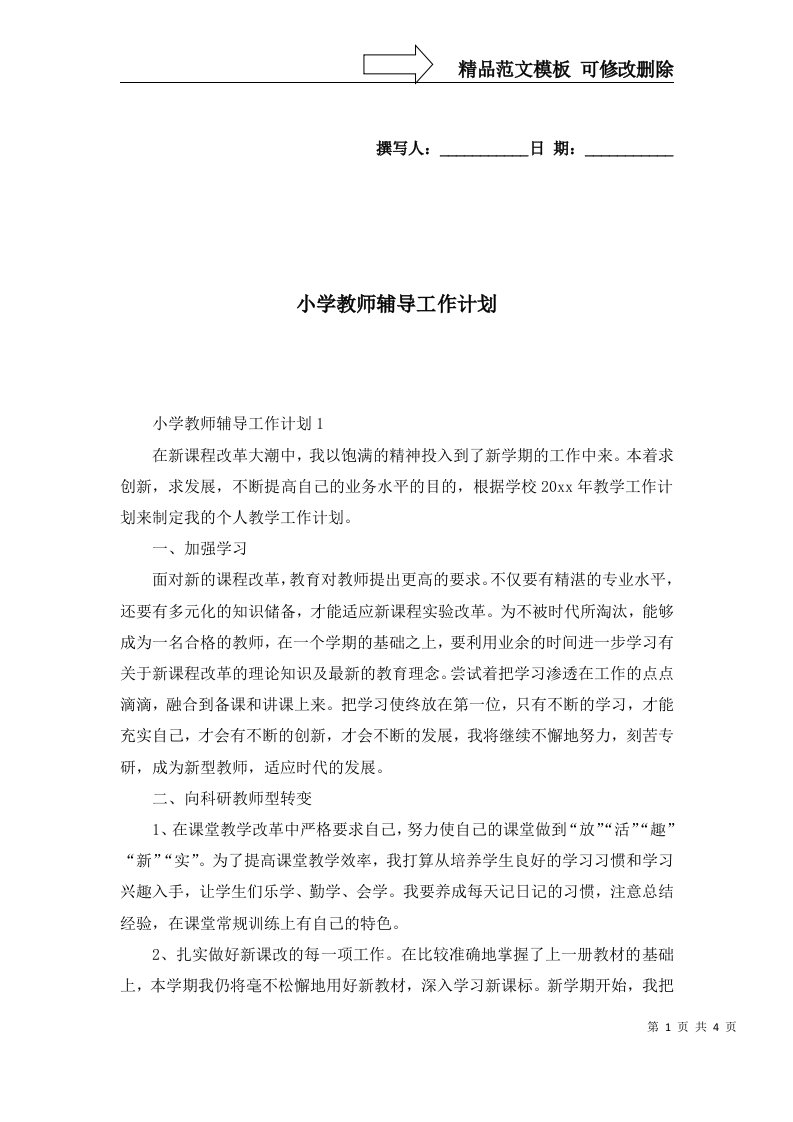 2022年小学教师辅导工作计划