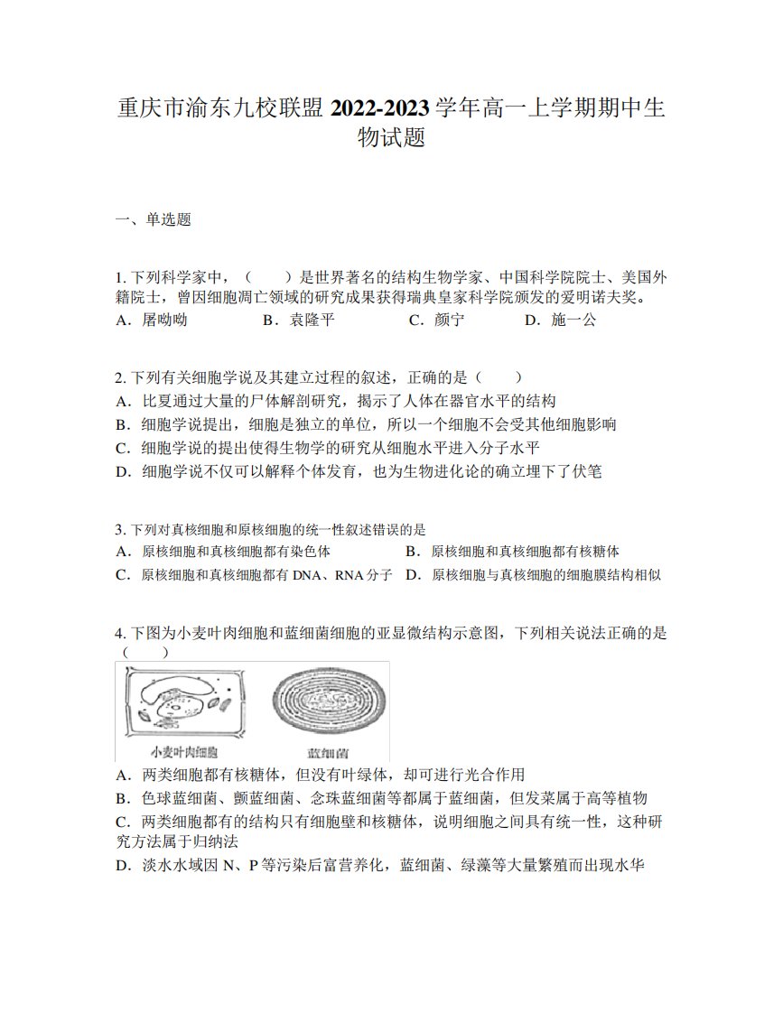 重庆市渝东九校联盟2022-2023学年高一上学期期中生物试题