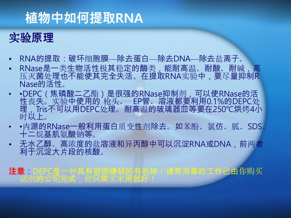 植物中如何提取RNA