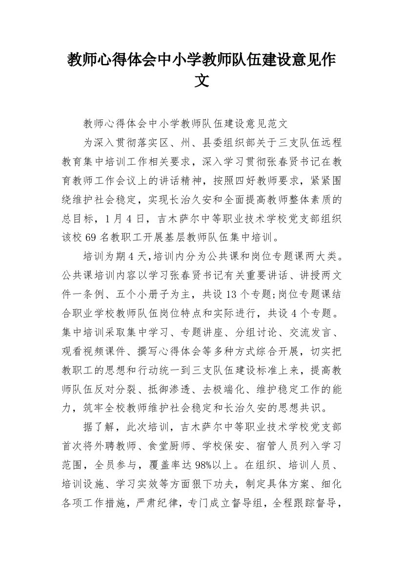 教师心得体会中小学教师队伍建设意见作文_1