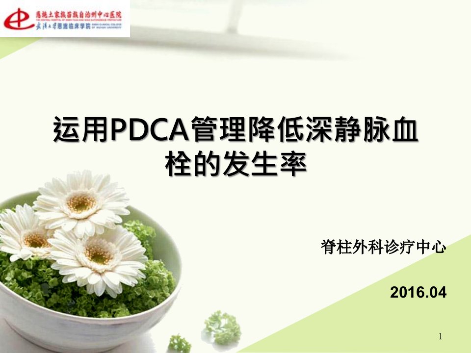 运用PDCA管理降低深静脉血栓的发生率ppt课件