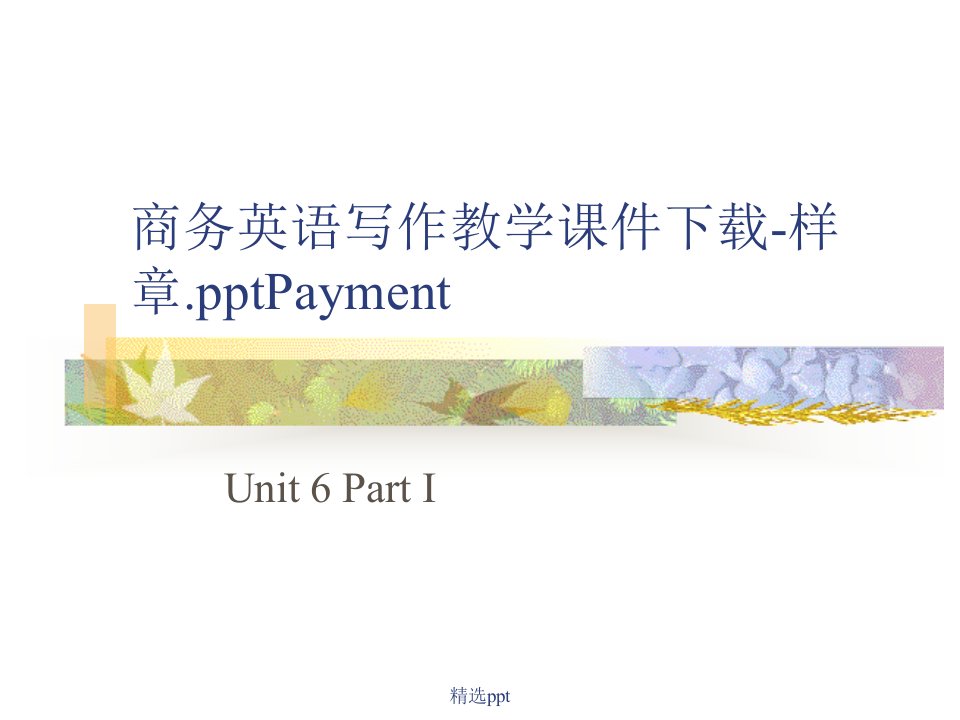 商务英语写作教学-样章payment