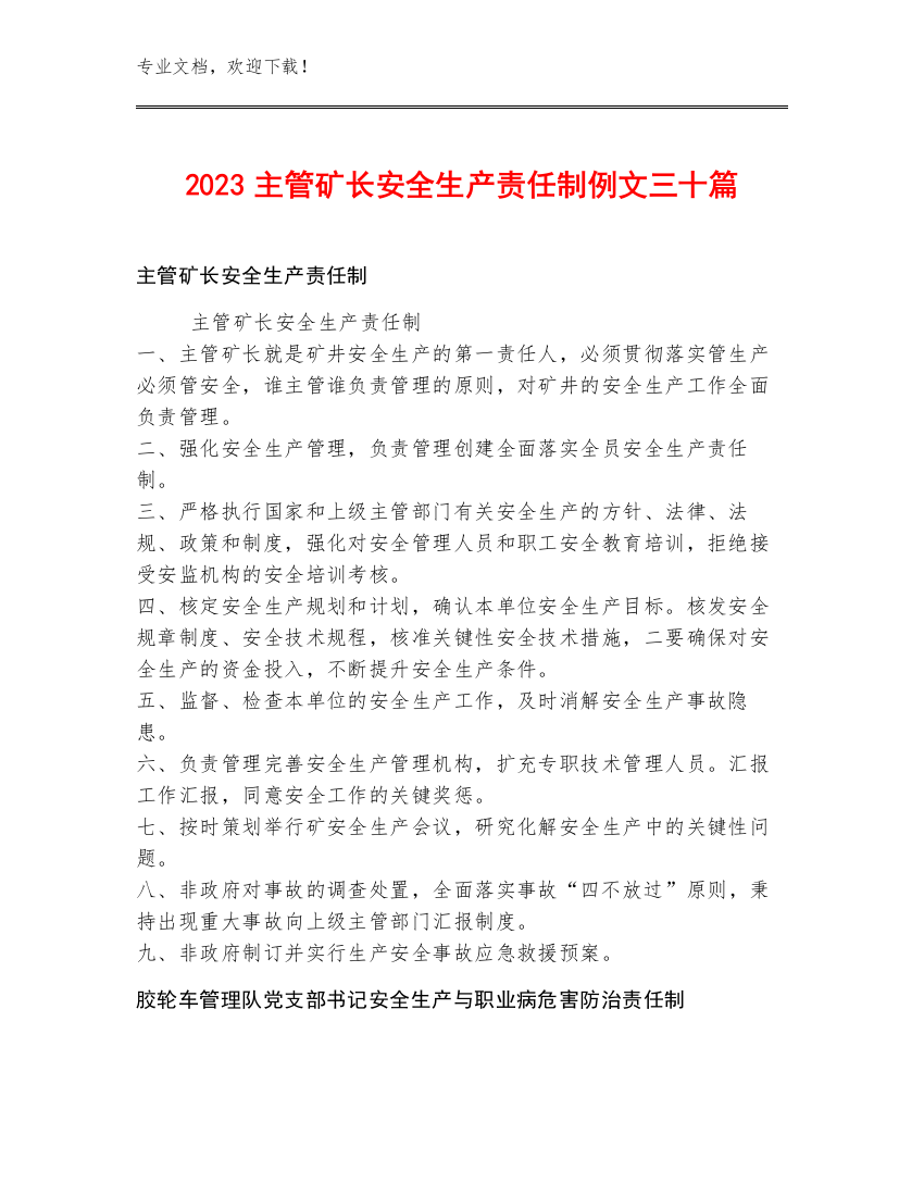 2023主管矿长安全生产责任制例文三十篇