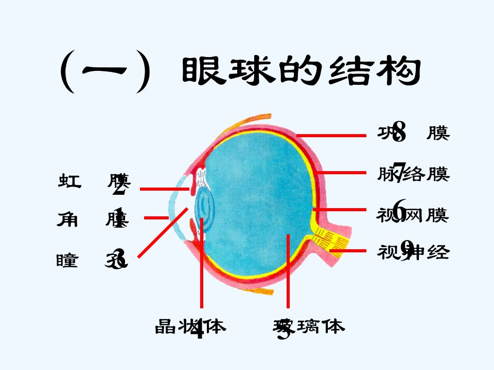 人教初中生物七下《第4单元