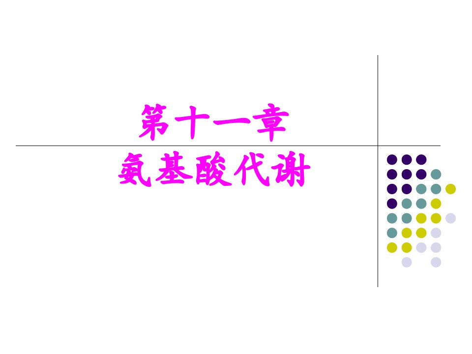 《氨基酸代谢》课件