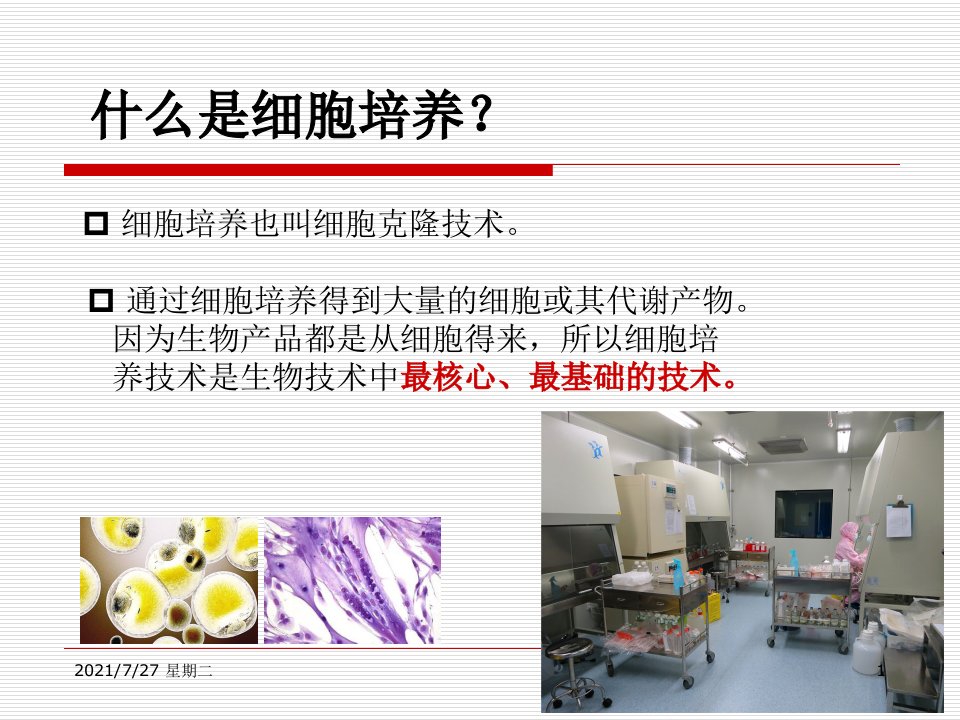 齐鲁医学细胞培养技术