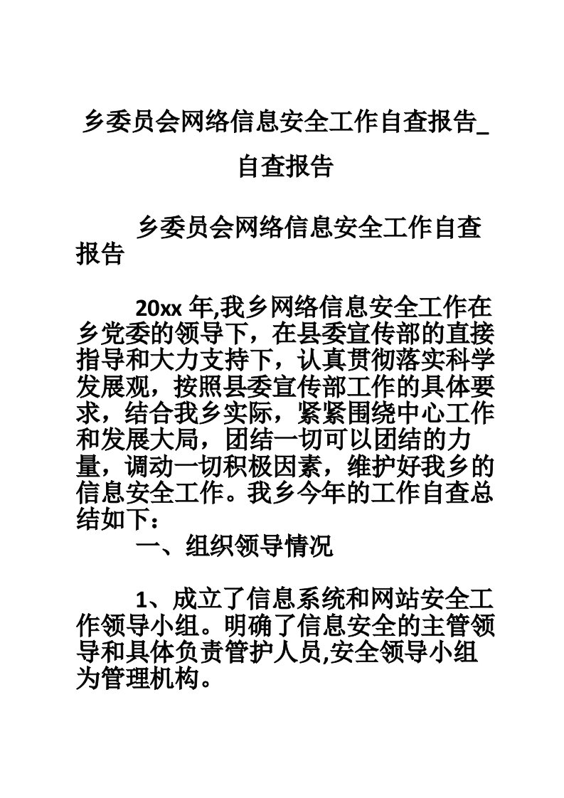 乡委员会网络信息安全工作自查报告