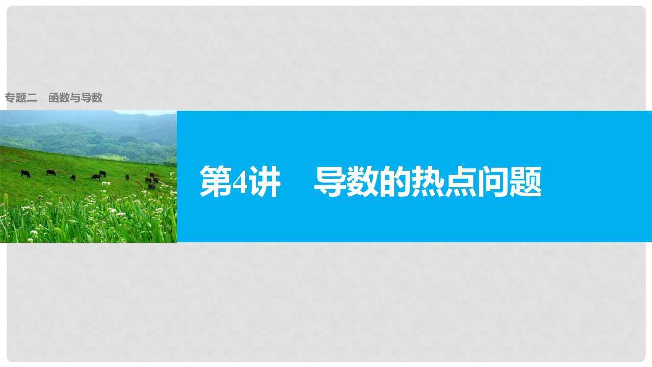 新（全国甲卷）高考数学大二轮总复习与增分策略