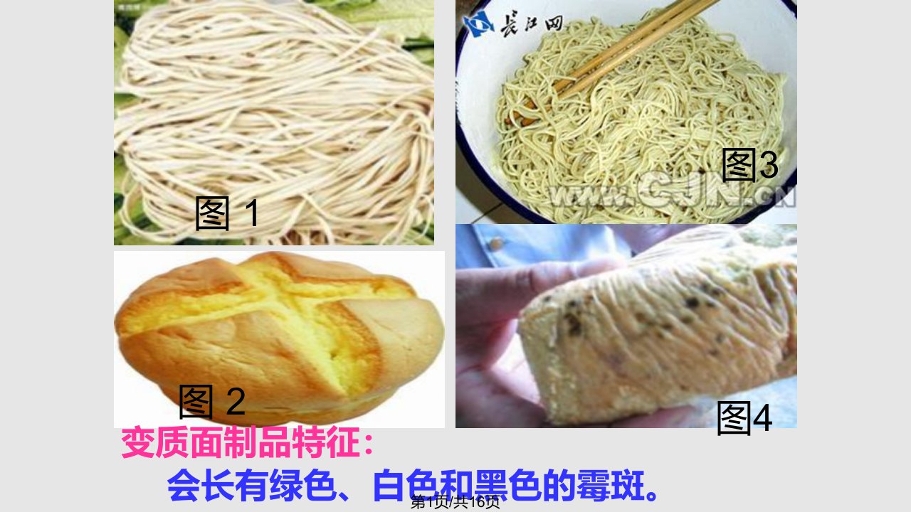 辨别变质食物PPT课件