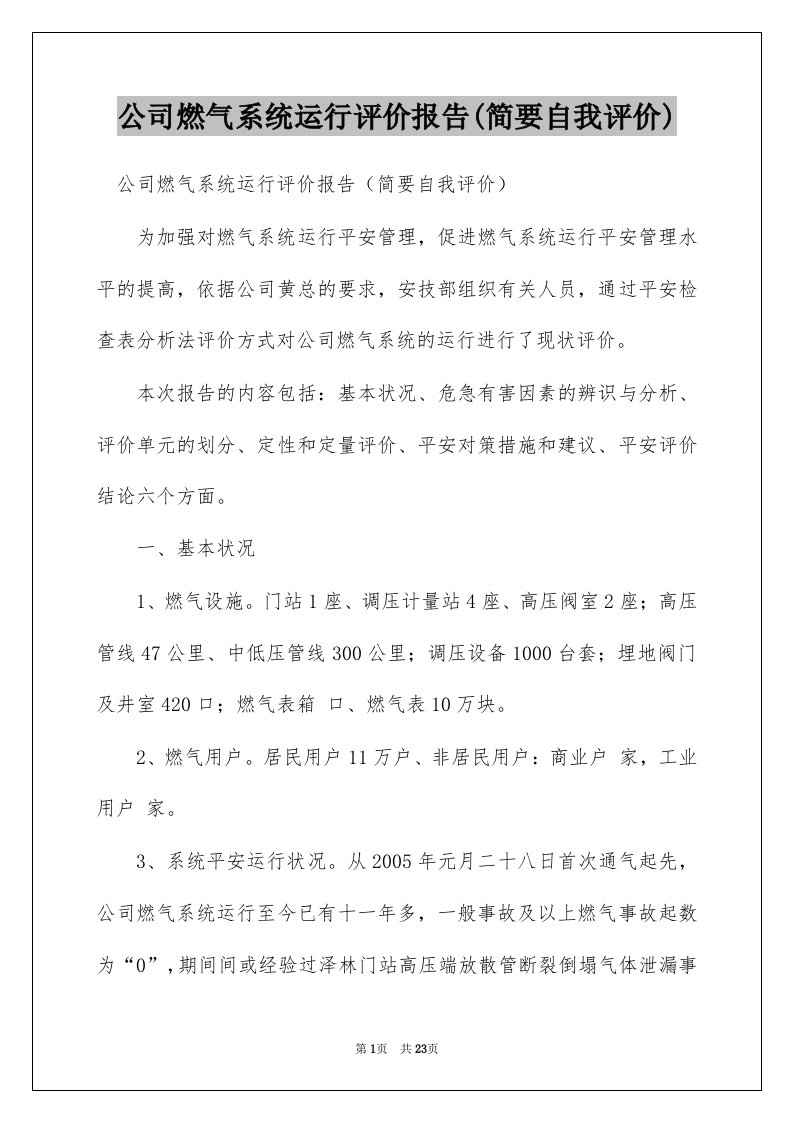 公司燃气系统运行评价报告(简要自我评价)