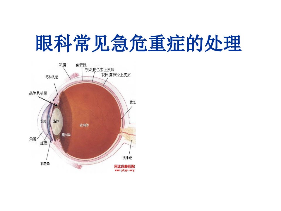 眼科急危重症处理院前急救-五官科