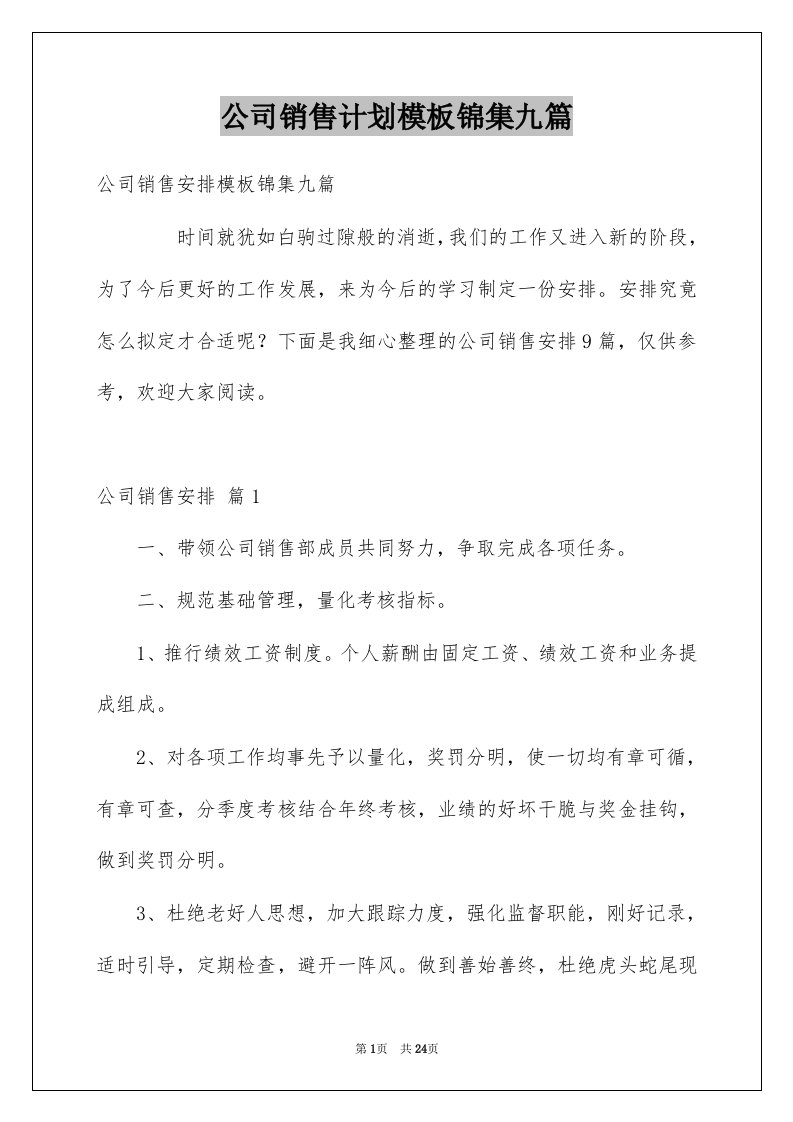 公司销售计划模板锦集九篇例文