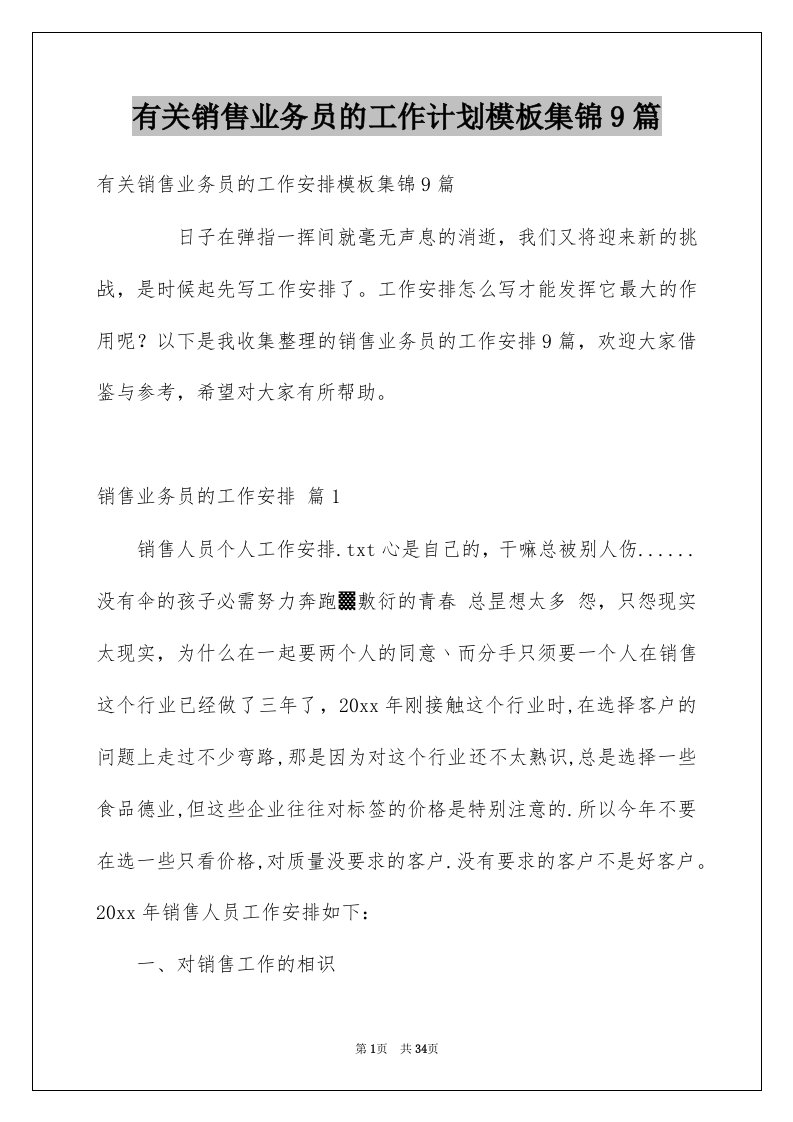 有关销售业务员的工作计划模板集锦9篇